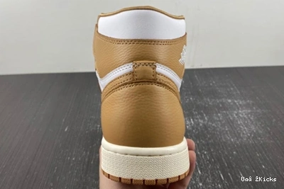 High Efficient (Women's)  Praline FN6622- OG 1 Retro 7117 69 Jordan 1109